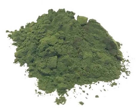 CHLORELLA PROSZEK - NATURAL EXPERT